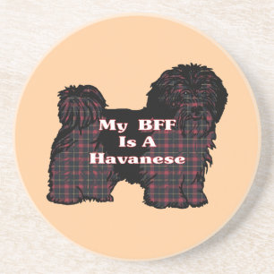 HAVANESE BESTE FREUNDIN SANDSTEIN UNTERSETZER
