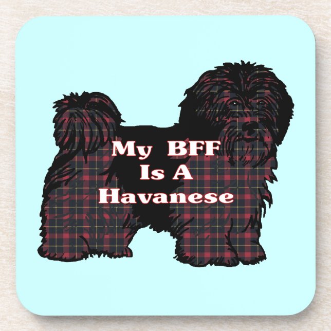 HAVANESE BESTE FREUNDIN UNTERSETZER (Vorderseite)
