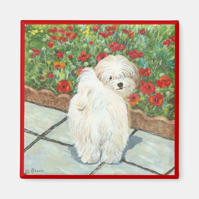 Havanese Dog and Poppies Art Print Magnet (Vorne)