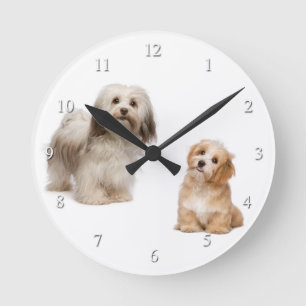 Havanese Dog and Puppy Clock Runde Wanduhr