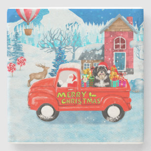 Havanese Dog Christmas Delivery LKW Schnee Steinuntersetzer