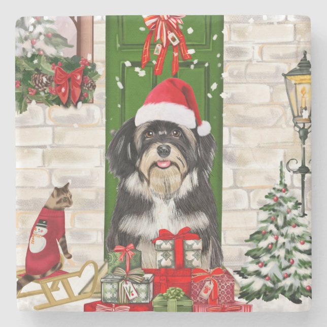 Havanese Dog Christmas Steinuntersetzer (Vorderseite)