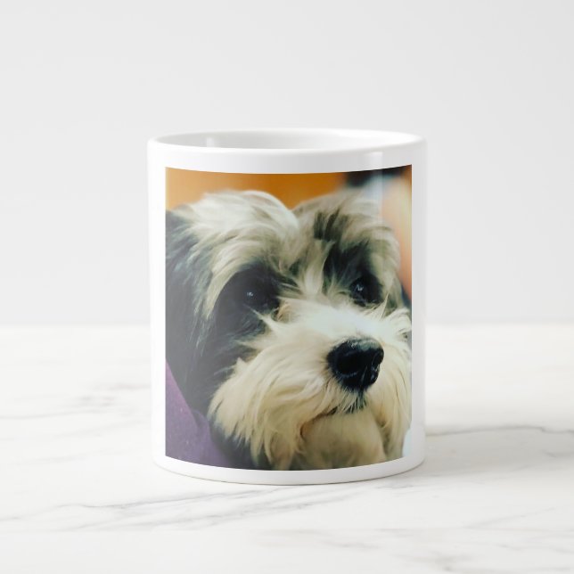 Havanese Dog Coffee Tasse (Vorderseite)