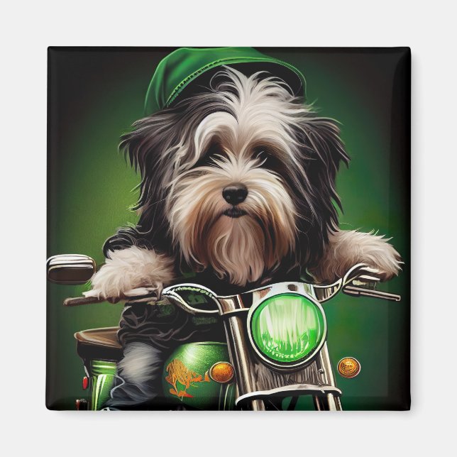 Havanese Dog Driving Bike St. Patrick's Day Magnet (Vorne)