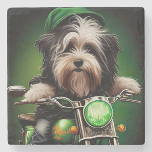 Havanese Dog Driving Bike St. Patrick's Day Steinuntersetzer