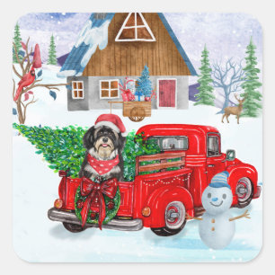 Havanese Dog in Christmas Delivery LKW Schnee Quadratischer Aufkleber