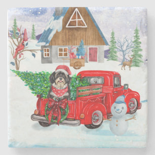 Havanese Dog in Christmas Delivery LKW Schnee Steinuntersetzer