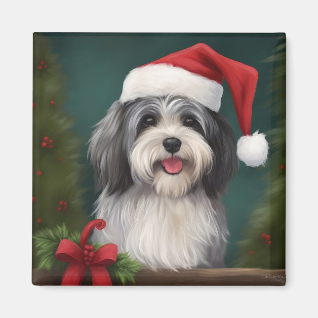 Havanese Dog in Schneeschweihnacht Magnet (Vorne)