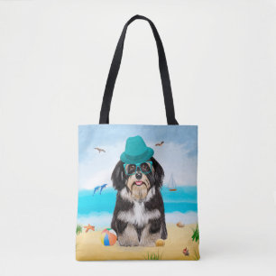 Havanese Dog on Beach