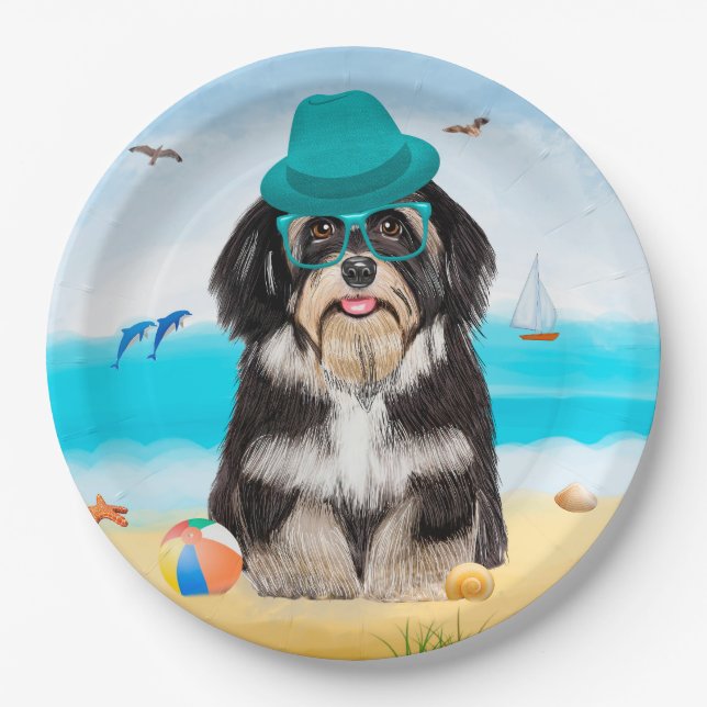 Havanese Dog on Beach Pappteller (Vorderseite)