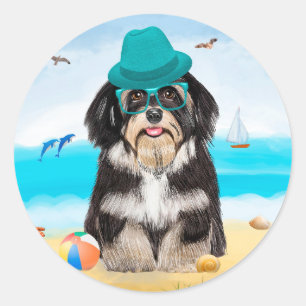 Havanese Dog on Beach Runder Aufkleber