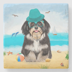 Havanese Dog on Beach Steinuntersetzer