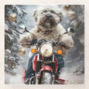 Havanese Dog Riding Motorrad Weihnachten Glasuntersetzer