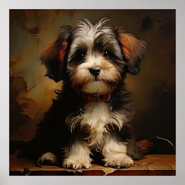 Havanese dog Welppy Realism Square Portrait Poster (Vorne)