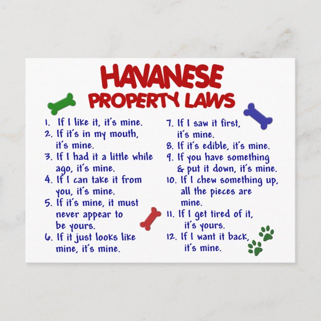 HAVANESE-Eigentumsrecht 2 Postkarte (Vorderseite)