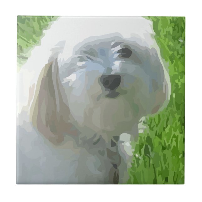 Havanese Fliese (Vorderseite)
