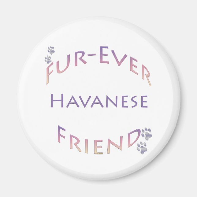 Havanese Furever Magnet (Vorne)