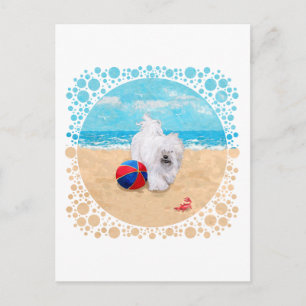 Havanese genießt einen Tag am Strand Postkarte