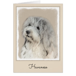 Havanese (Gold Sable) Malerei - Original Hunde Kun