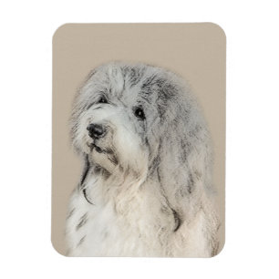 Havanese (Gold Sable) Malerei - Original Hunde Kun Magnet