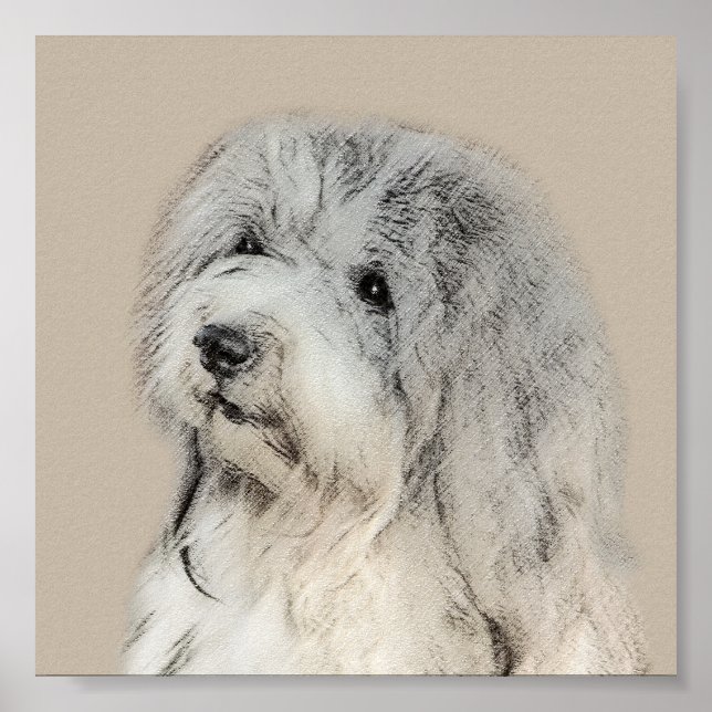 Havanese (Gold Sable) Malerei - Original Hunde Kun Poster (Vorne)