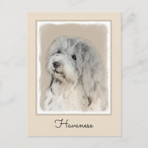 Havanese (Gold Sable) Malerei - Original Hunde Kun Postkarte
