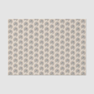 Havanese (Gold Sable) Malerei - Original Hunde Kun Seidenpapier