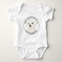 Havanese große Schwester