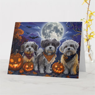 Havanese Halloween Spooky Karte