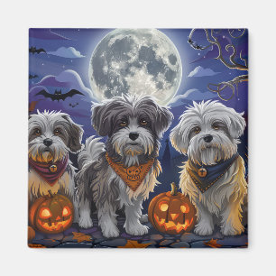 Havanese Halloween Spooky Magnet