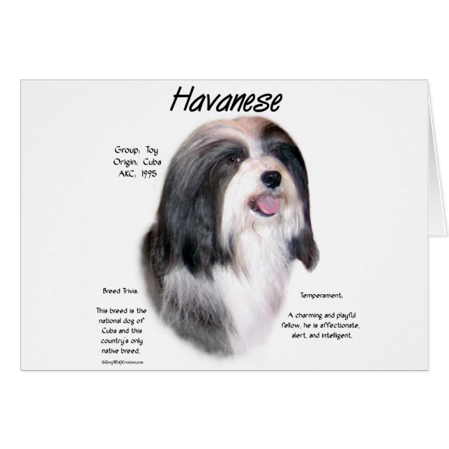 Havanese History Design (Vorderseite (Horizontal))