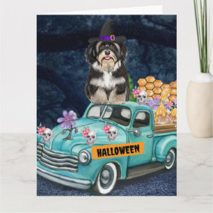 Havanese Hund Halloween LKW Beängstigende Nacht Karte