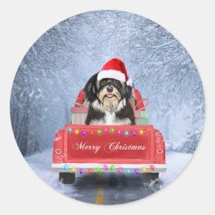 Havanese Hund im Schnee sitzend im Weihnachtswagen Runder Aufkleber