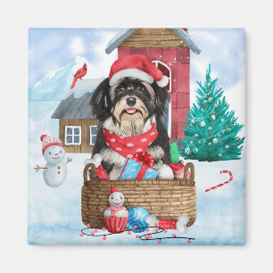 Havanese Hund im Schnee Weihnachtshaus Magnet