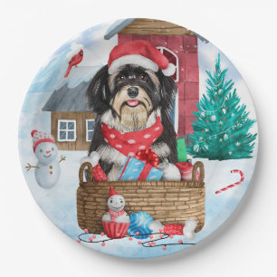 Havanese Hund im Schnee Weihnachtshaus Pappteller