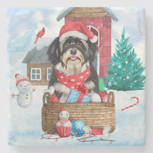 Havanese Hund im Schnee Weihnachtshaus Steinuntersetzer