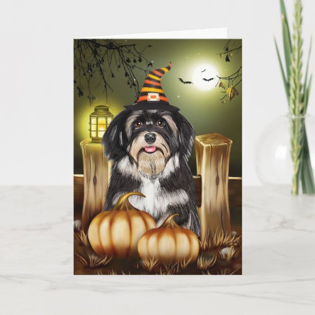 Havanese Hund mit Hexenhut Halloween-Geschenkidee Karte (Vorderseite)