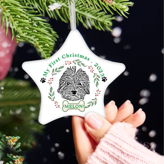 Havanese Hund Personalisiert Hand Zeichnend Keramik Ornament (Von Creator hochgeladen)