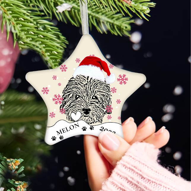 Havanese Hund Personalisiert Hand Zeichnend Keramik Ornament (Von Creator hochgeladen)