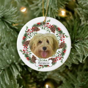 Havanese Hund Personalisiert Keramik Ornament