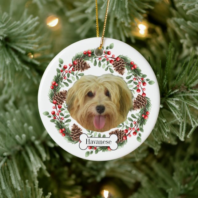 Havanese Hund Personalisiert Keramik Ornament (Baum)