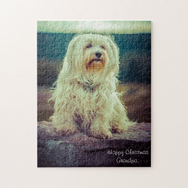 Havanese Hund. Puzzle (Vertikal)