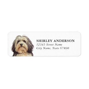 Havanese-Hund-Rücksende-Adressetiketten