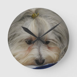 Havanese Hund Runde Wanduhr