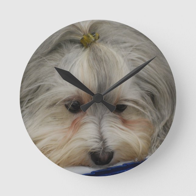 Havanese Hund Runde Wanduhr (Vorderseite)
