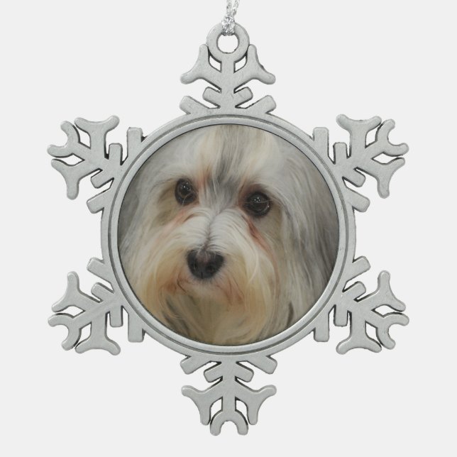 Havanese Hund Schneeflocken Zinn-Ornament (Vorderseite)