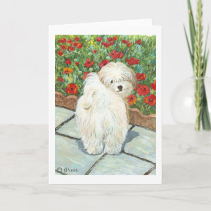 Havanese Hund und Poppies Art Feiertagskarte
