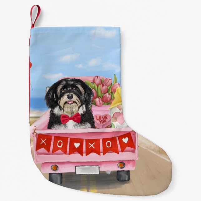 Havanese Hund Valentinstag LKW Kleiner Weihnachtsstrumpf (Vorderseite)