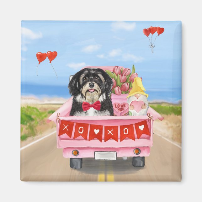 Havanese Hund Valentinstag LKW Magnet (Vorne)
