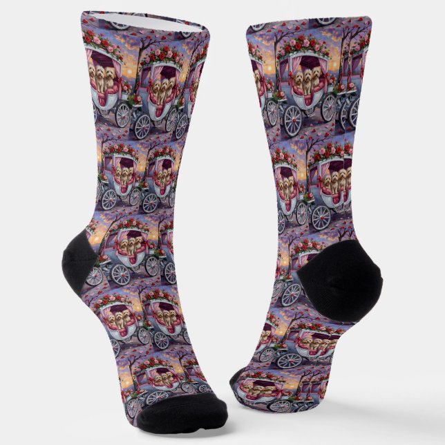 Havanese Hund Valentinstag  Socken (Gewinkelt)